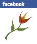 FacebookPage